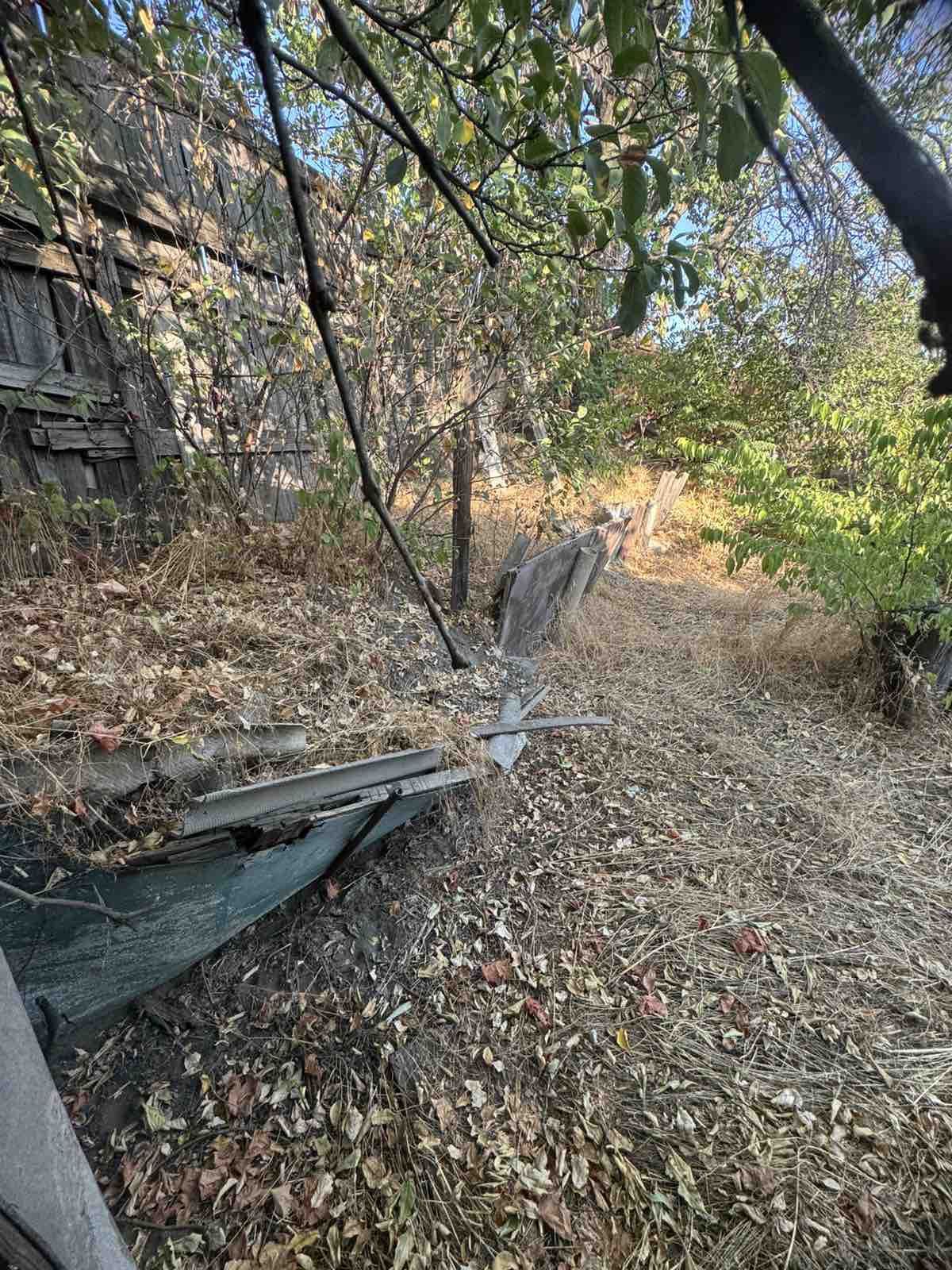 Image 12