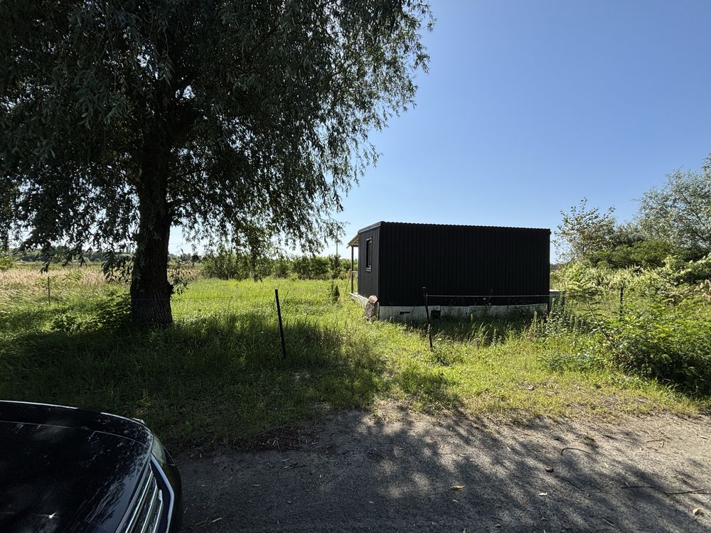 Image 12