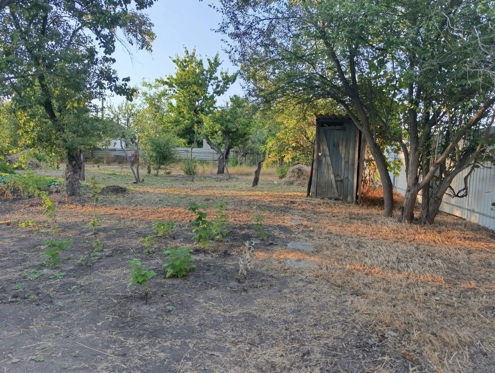 Image 14