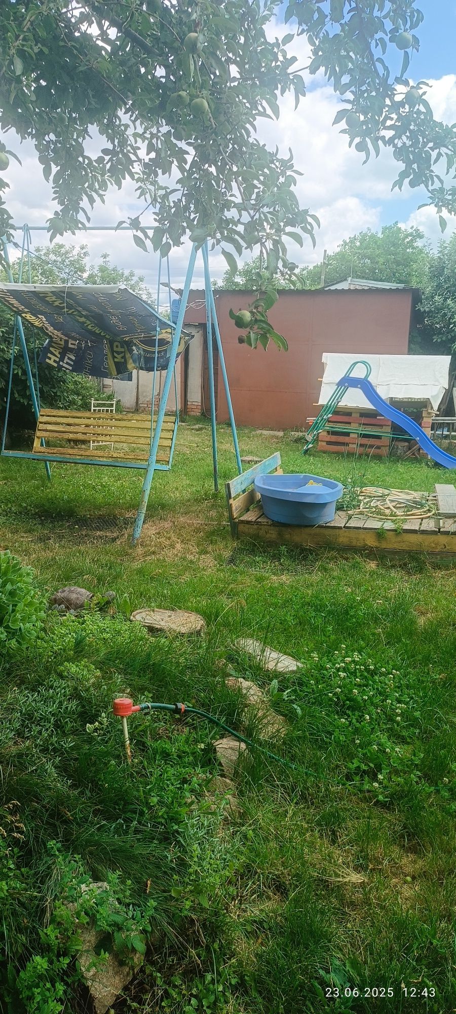 Image 24