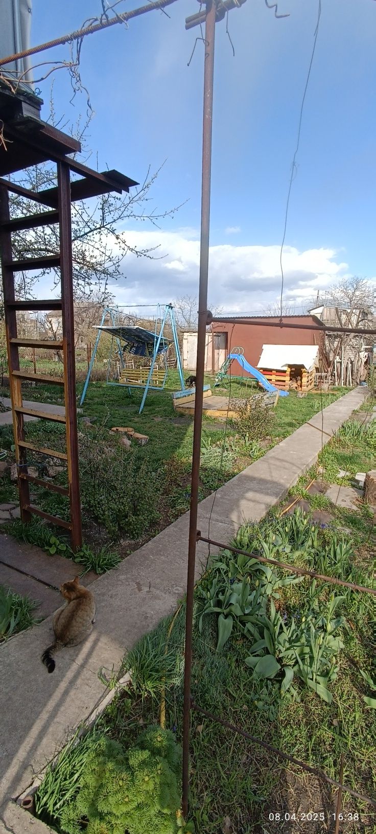 Image 4