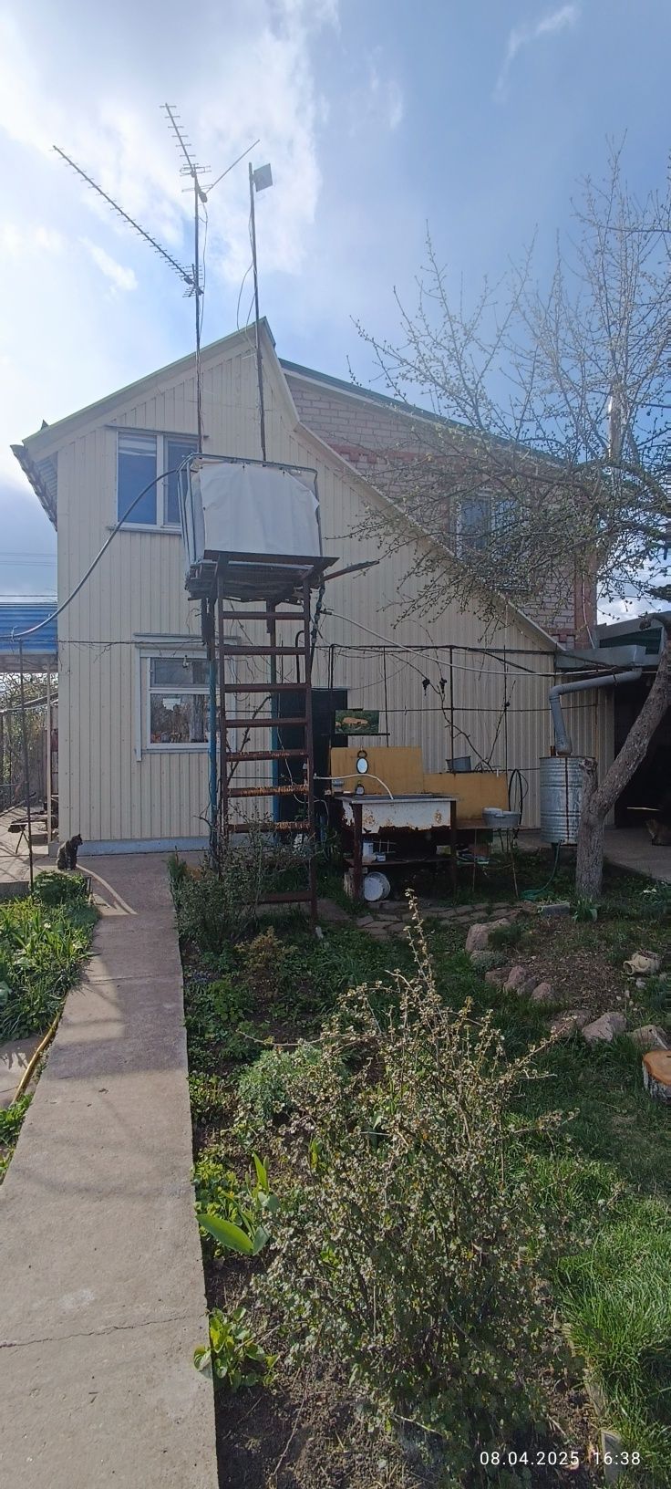 Image 5