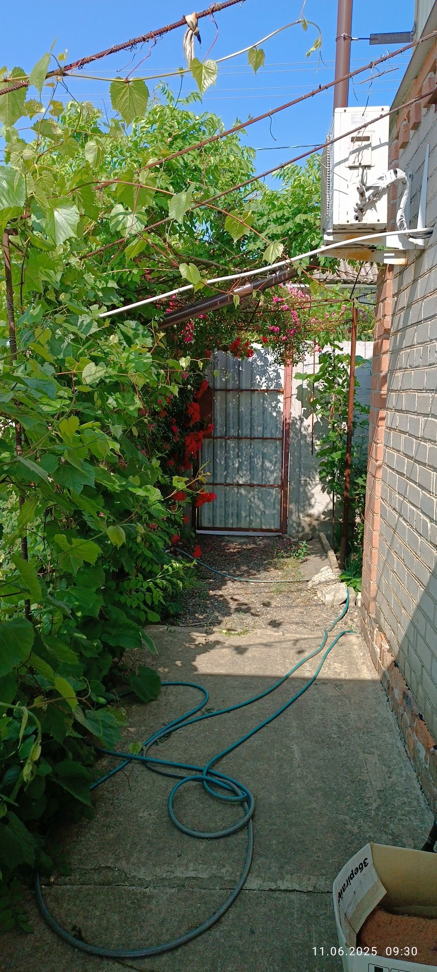 Image 19