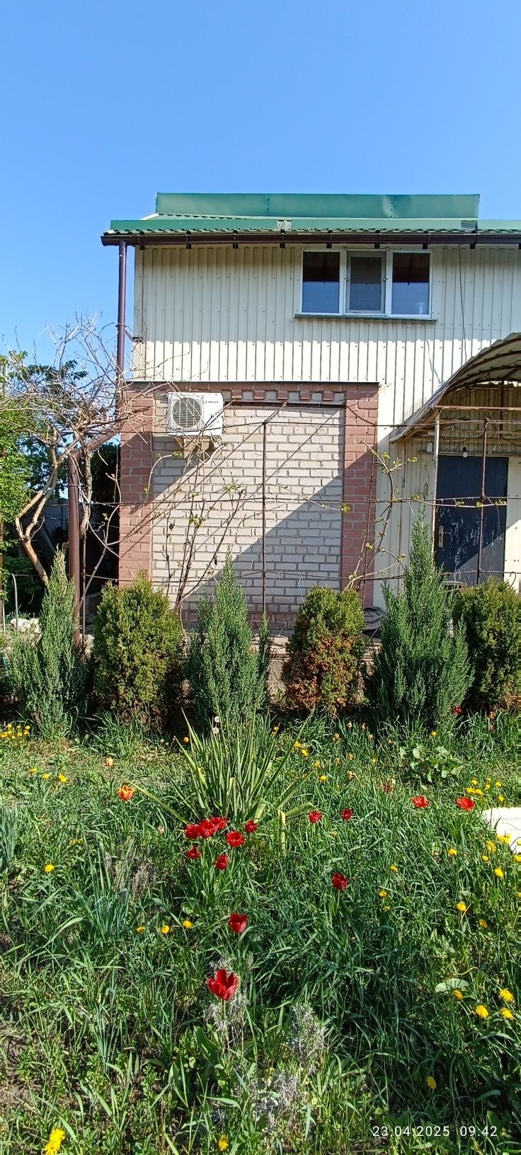 Image 8