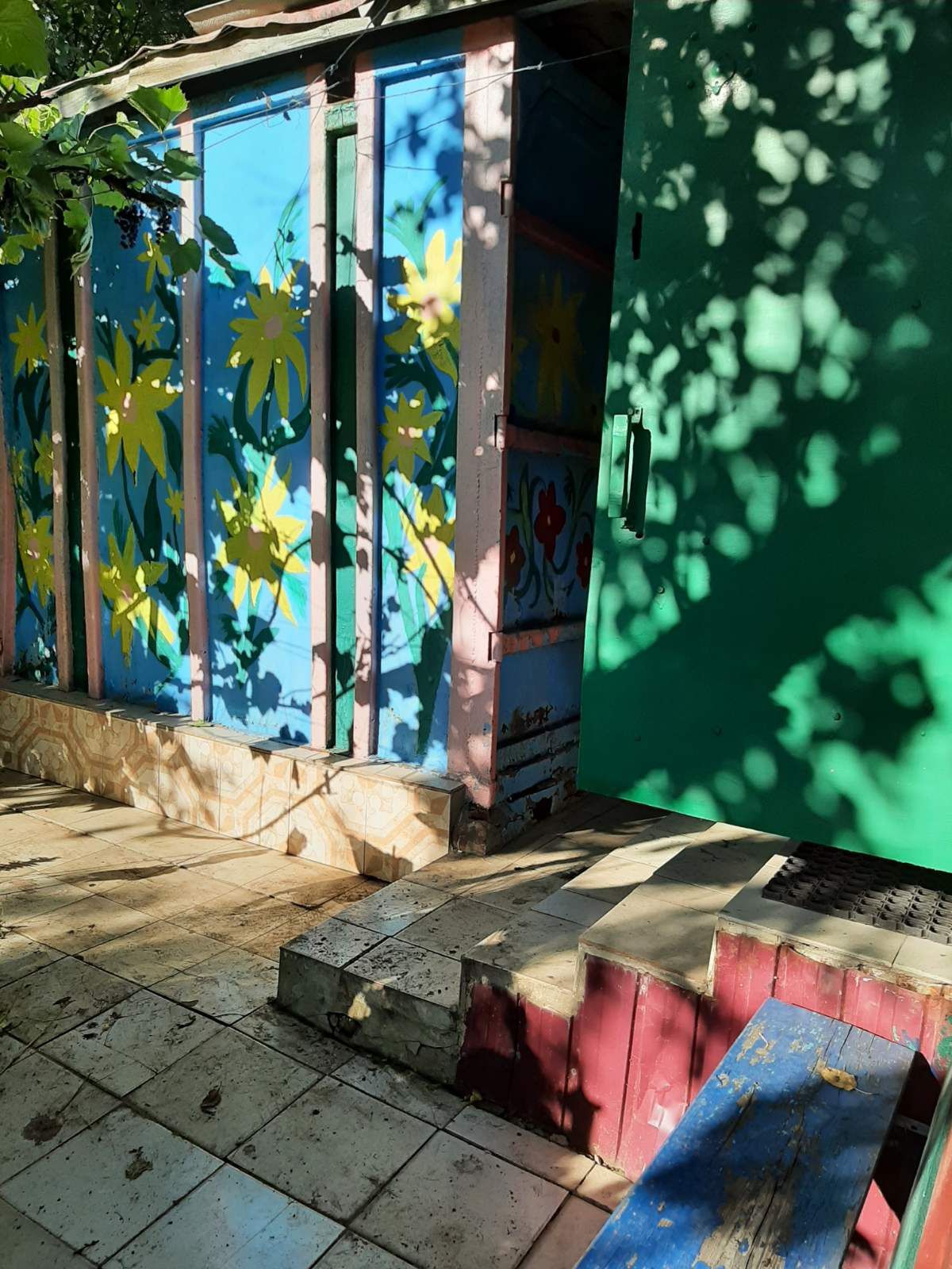 Image 5
