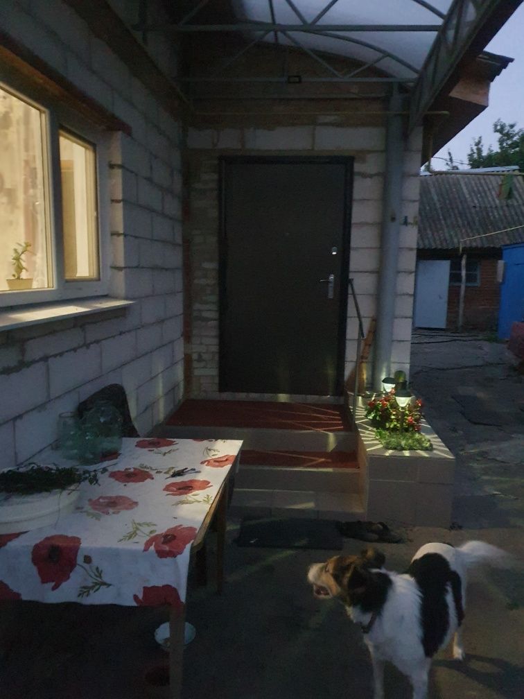 Image 8