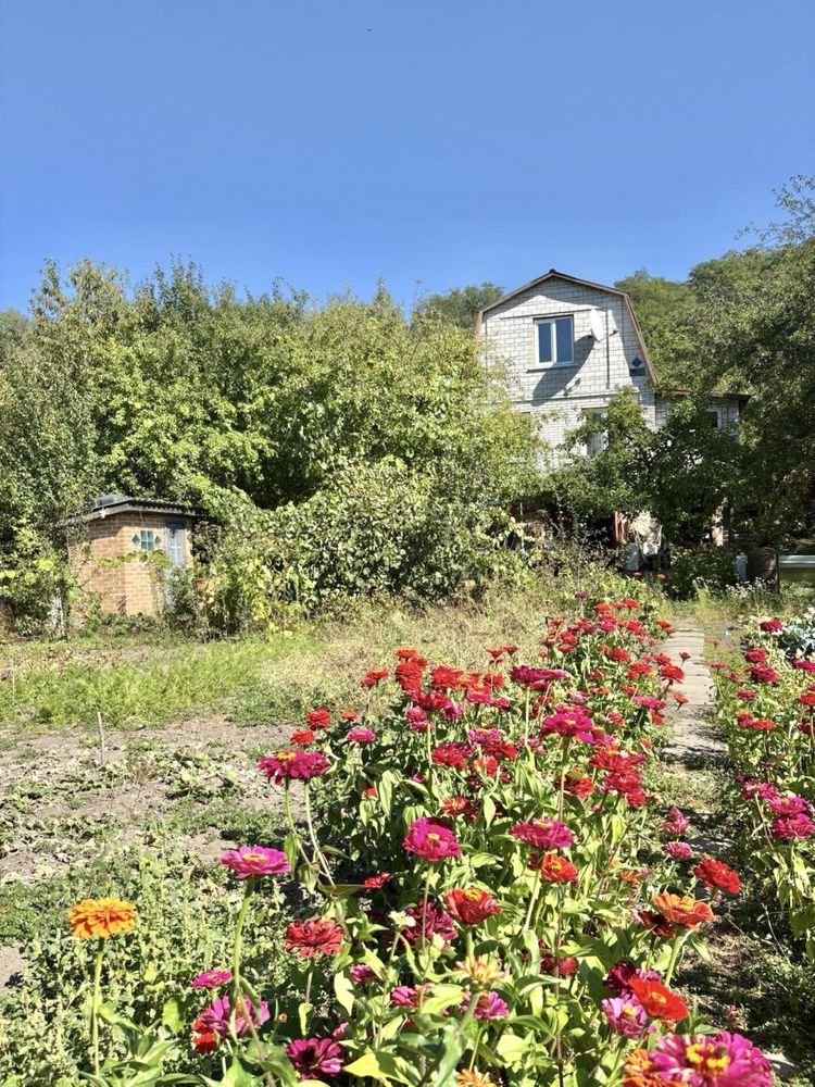 Image 22