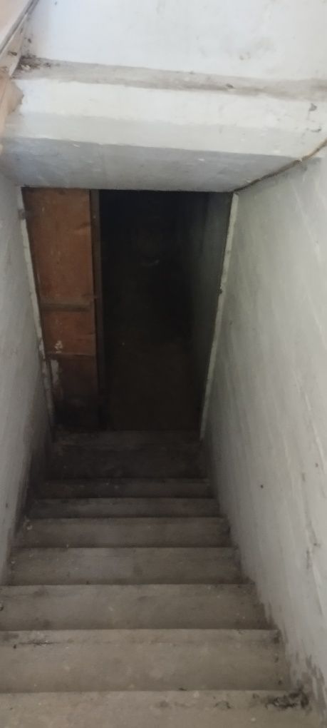 Image 13