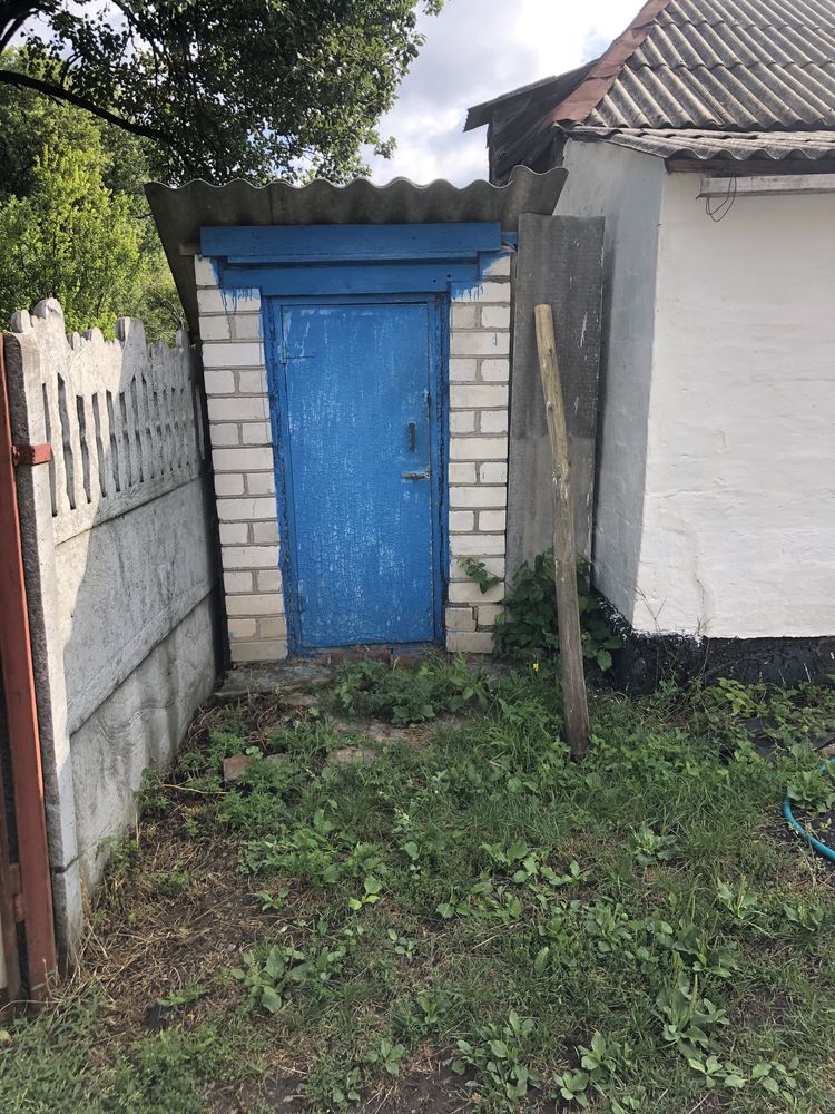 Image 11