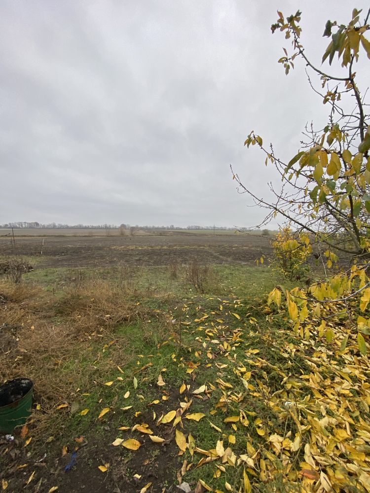 Image 13