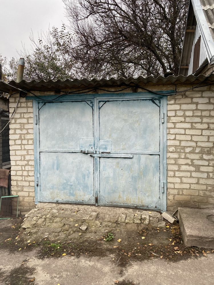 Image 11