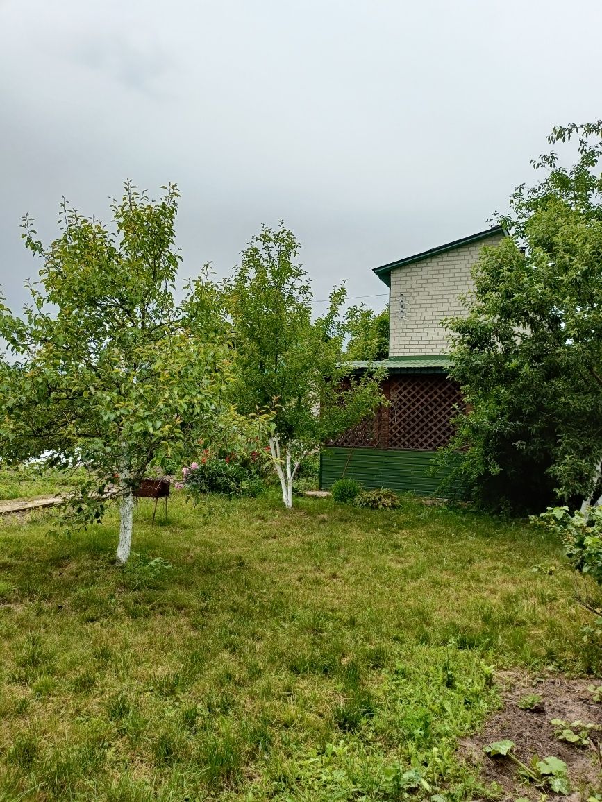 Image 16