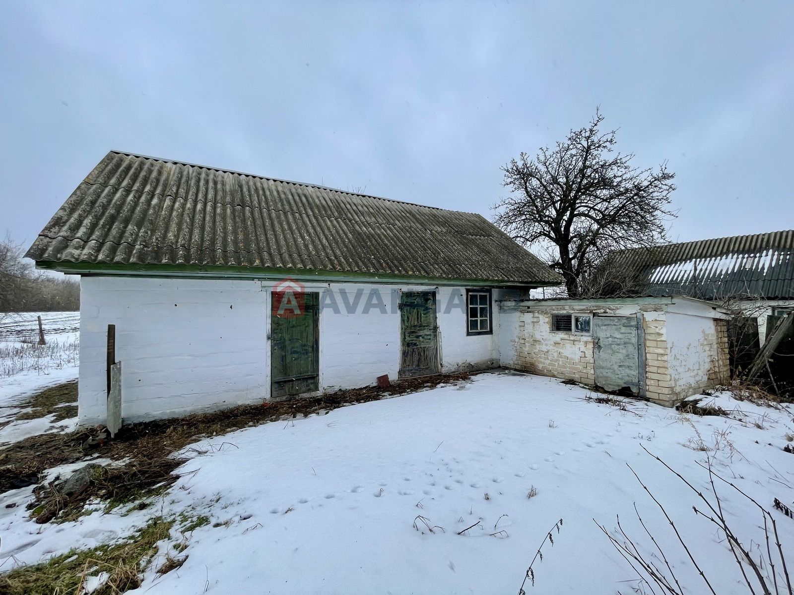 Image 11