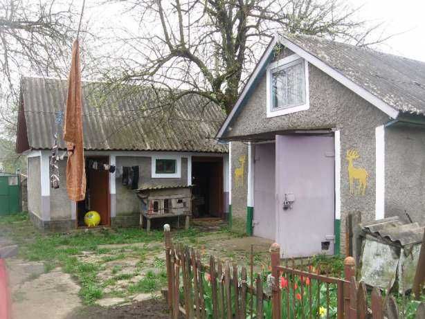 Image 8