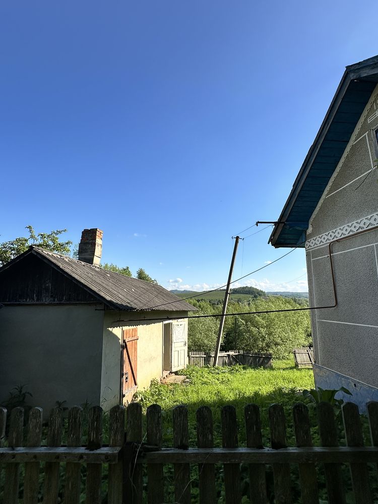 Image 12