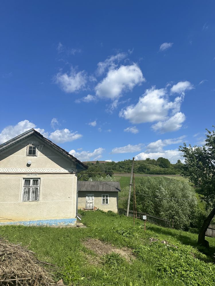 Image 16