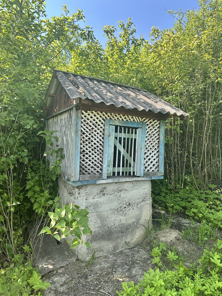 Image 15
