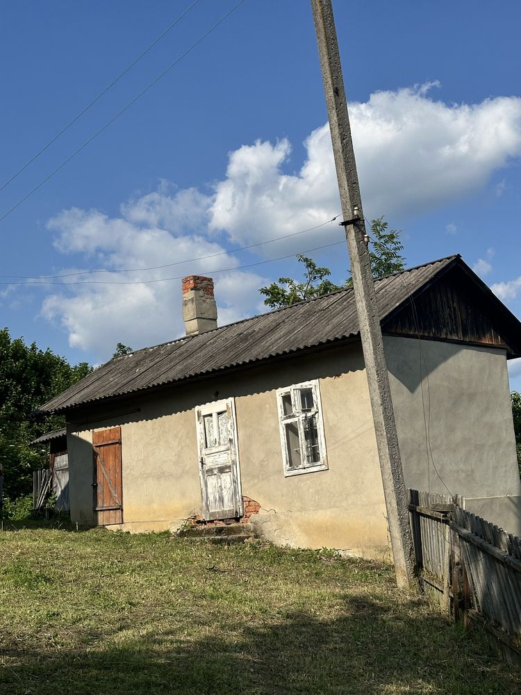 Image 13