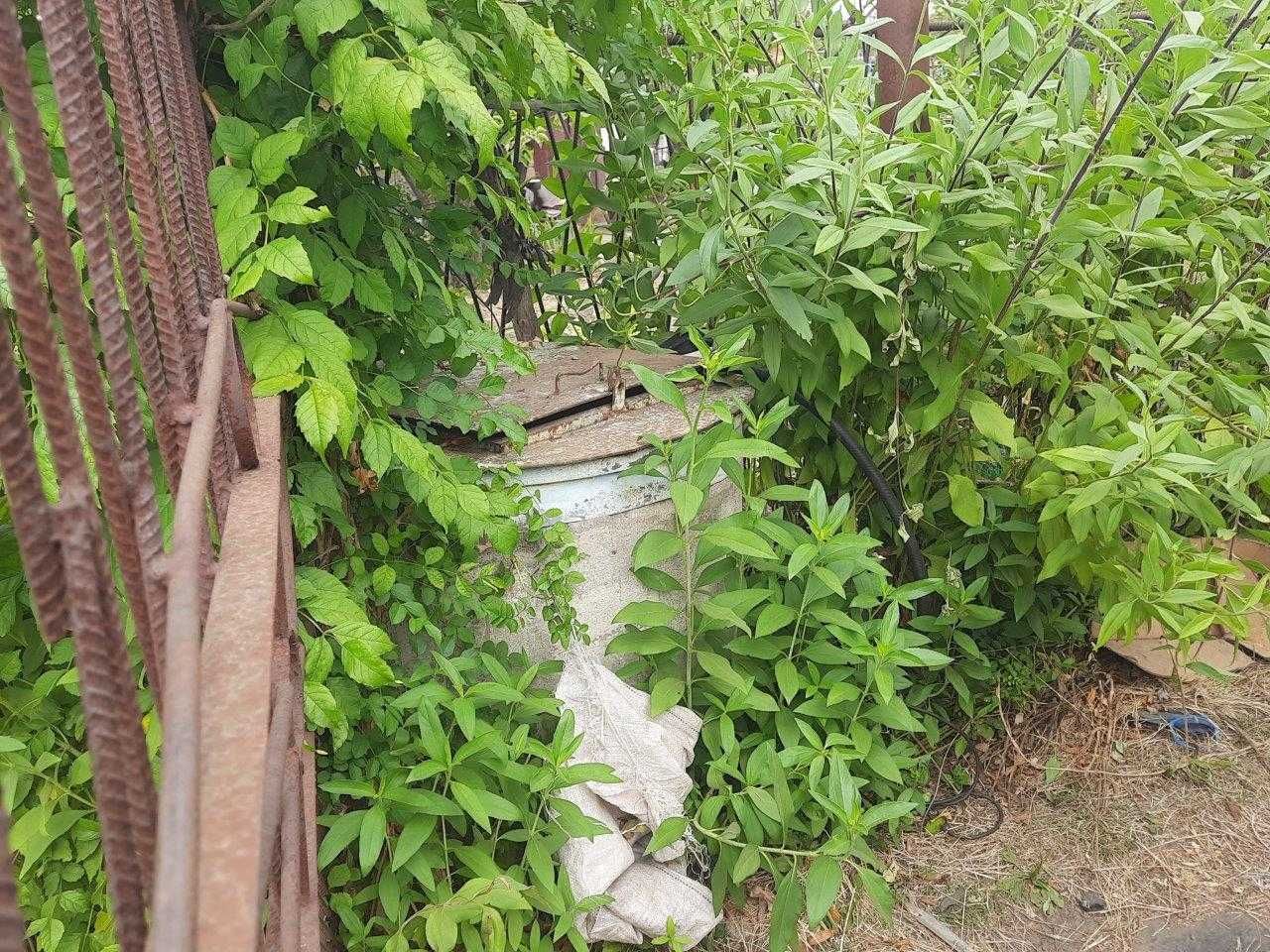 Image 9