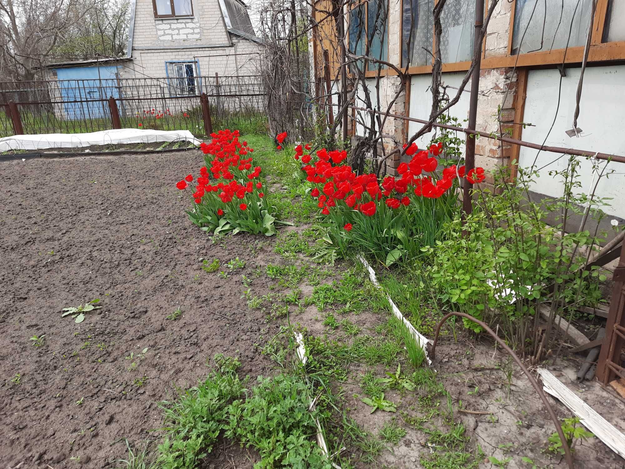 Image 13