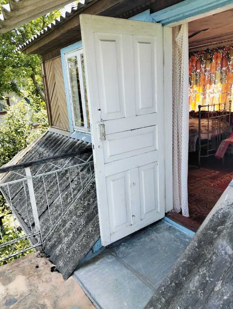 Image 8