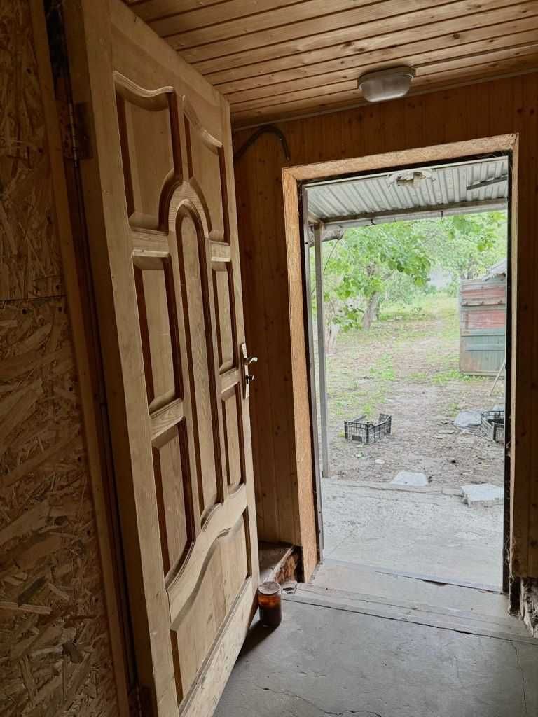 Image 6