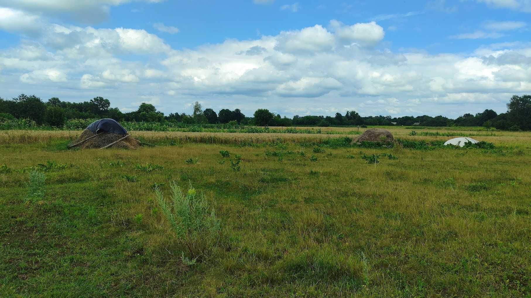 Image 15