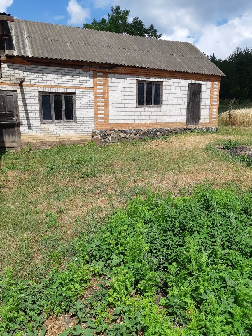 Image 14