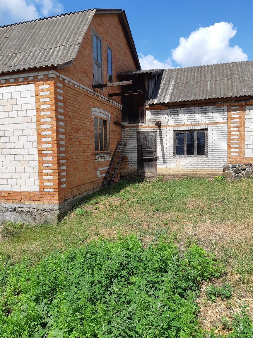 Image 12