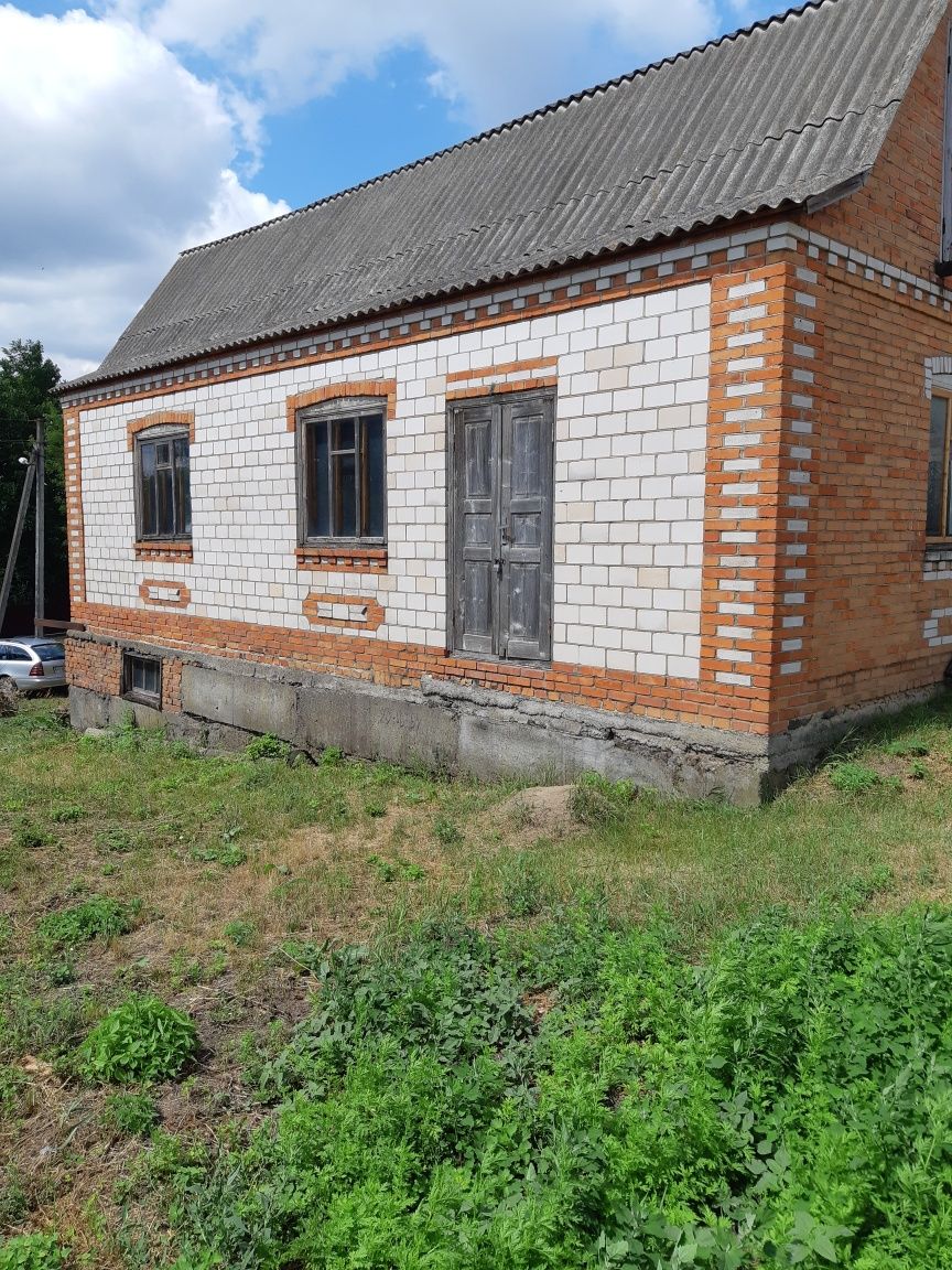 Image 13