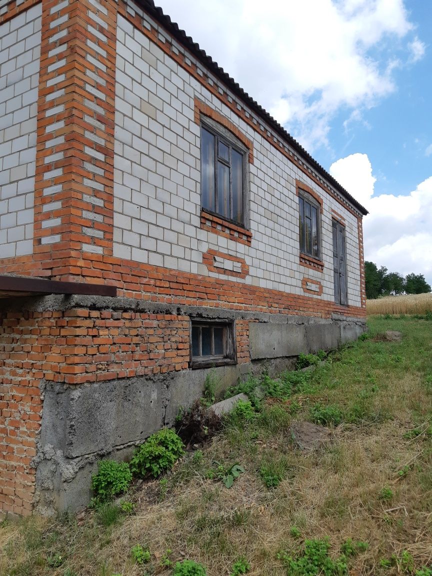 Image 11