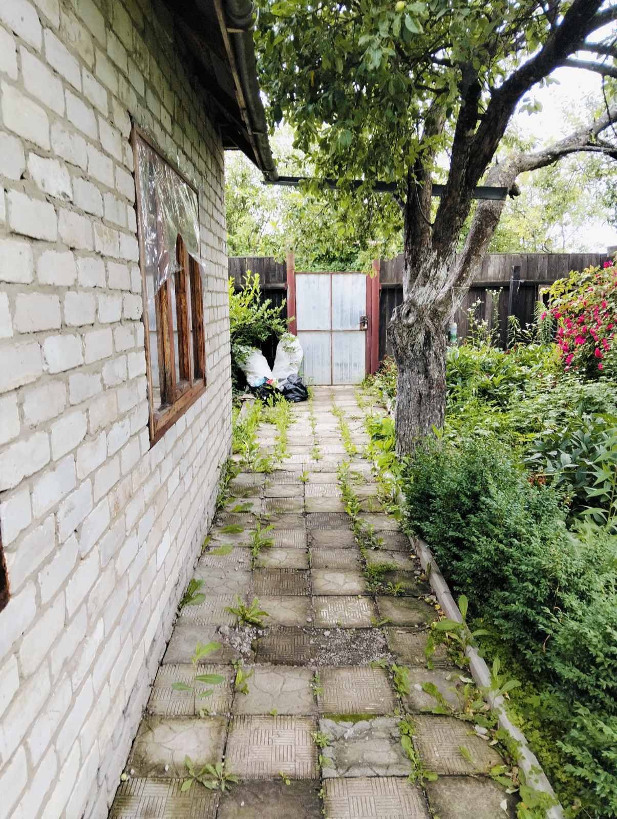 Image 8