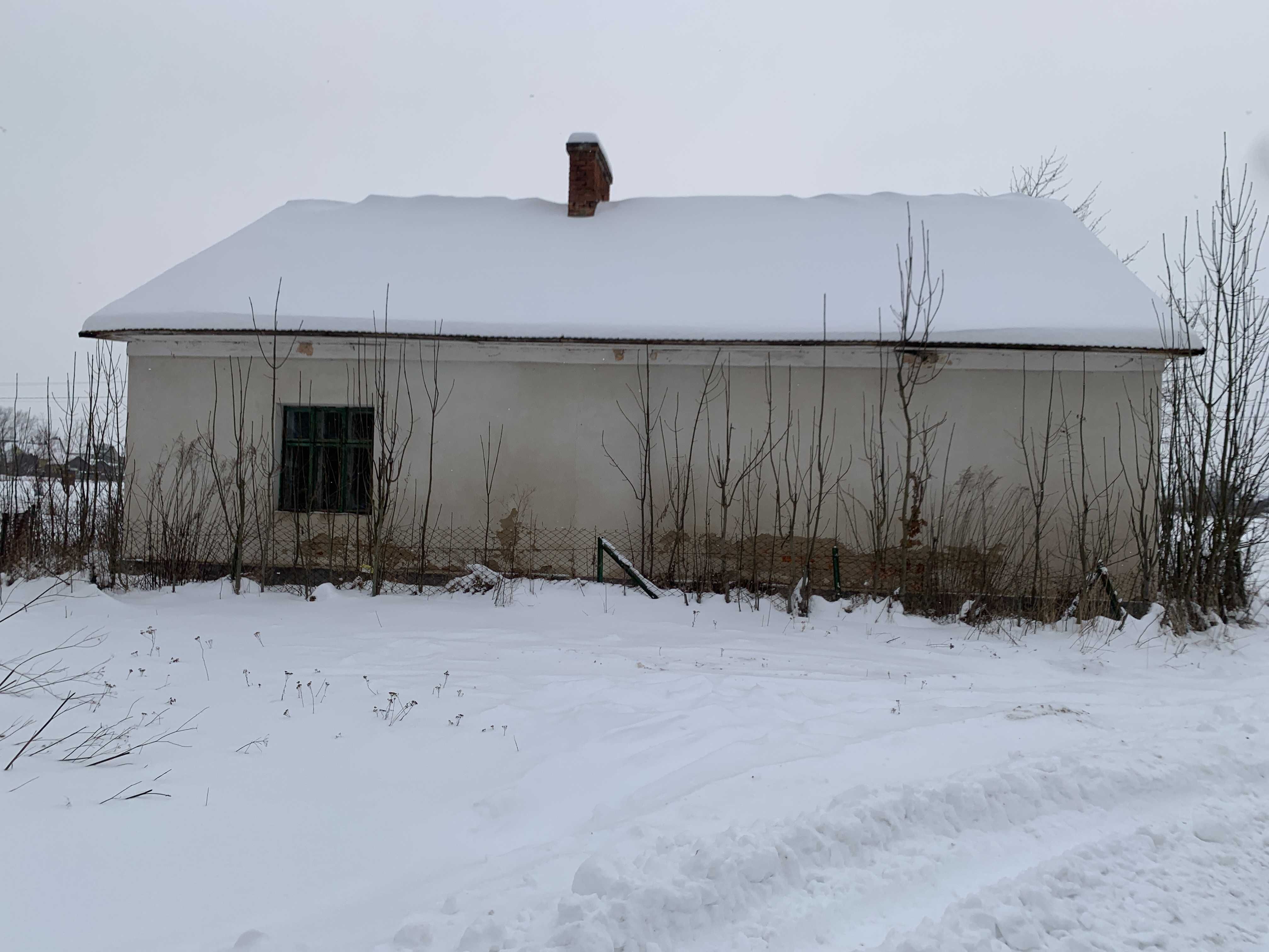Image 8