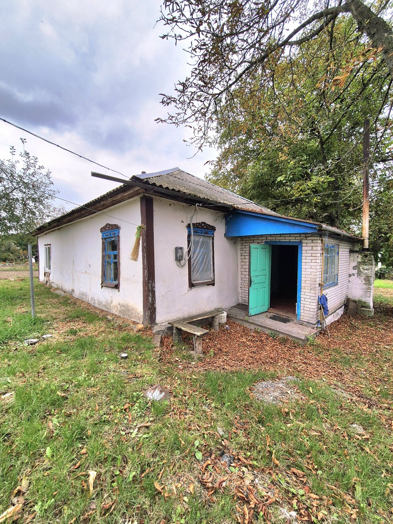 Image 11