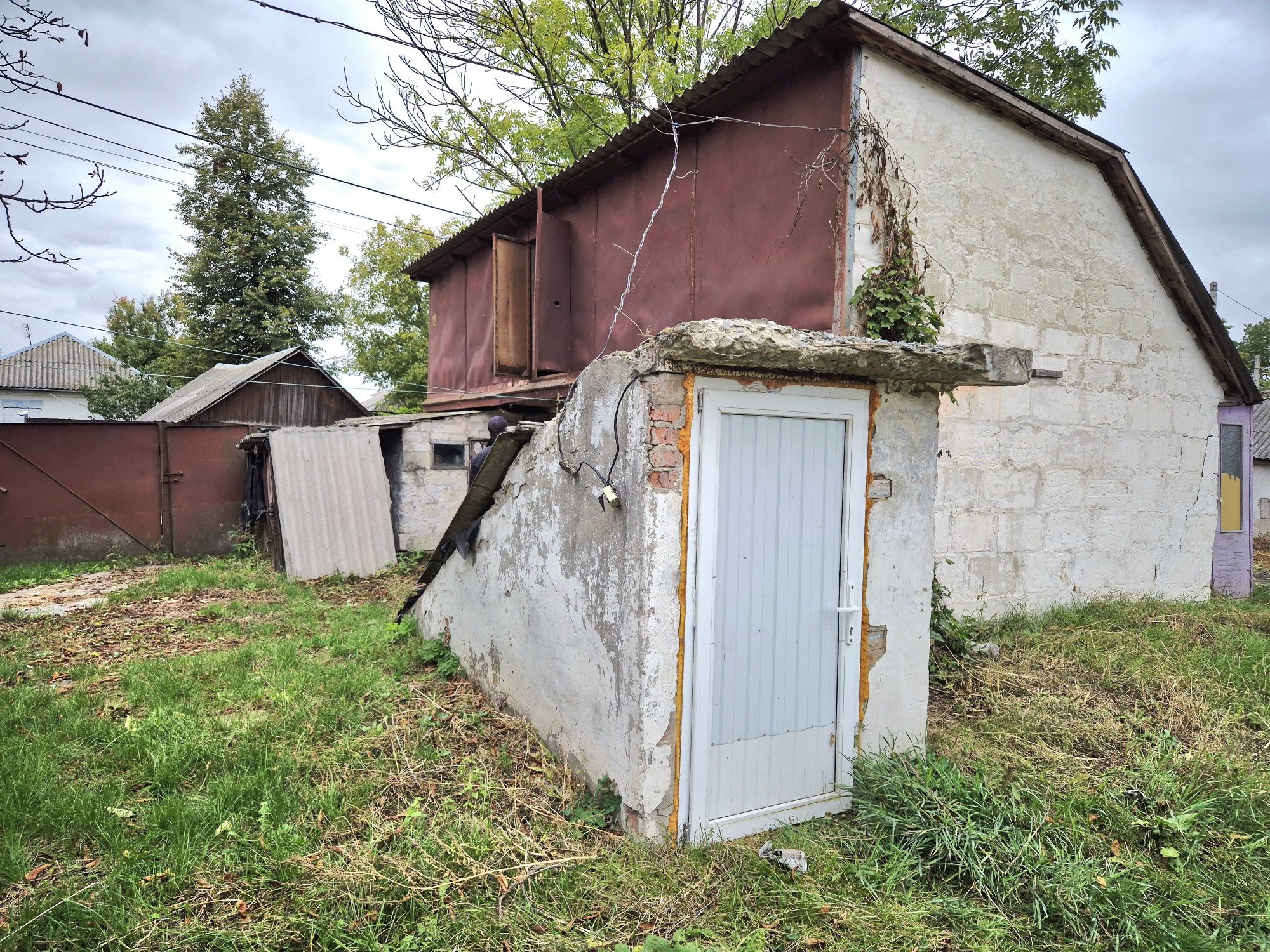 Image 12