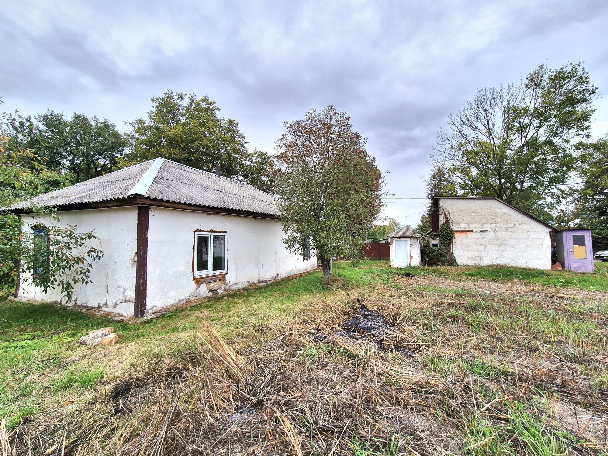 Image 13