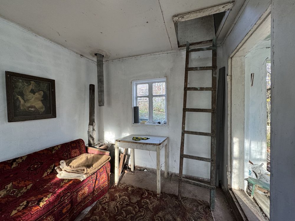 Image 11