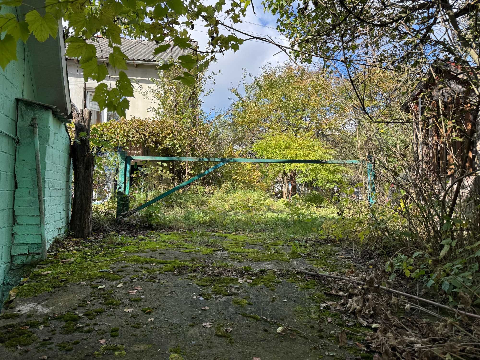 Image 8