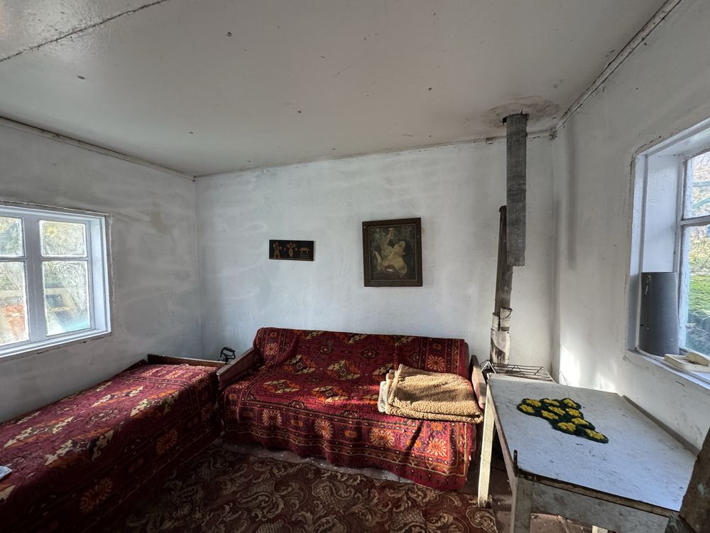 Image 12