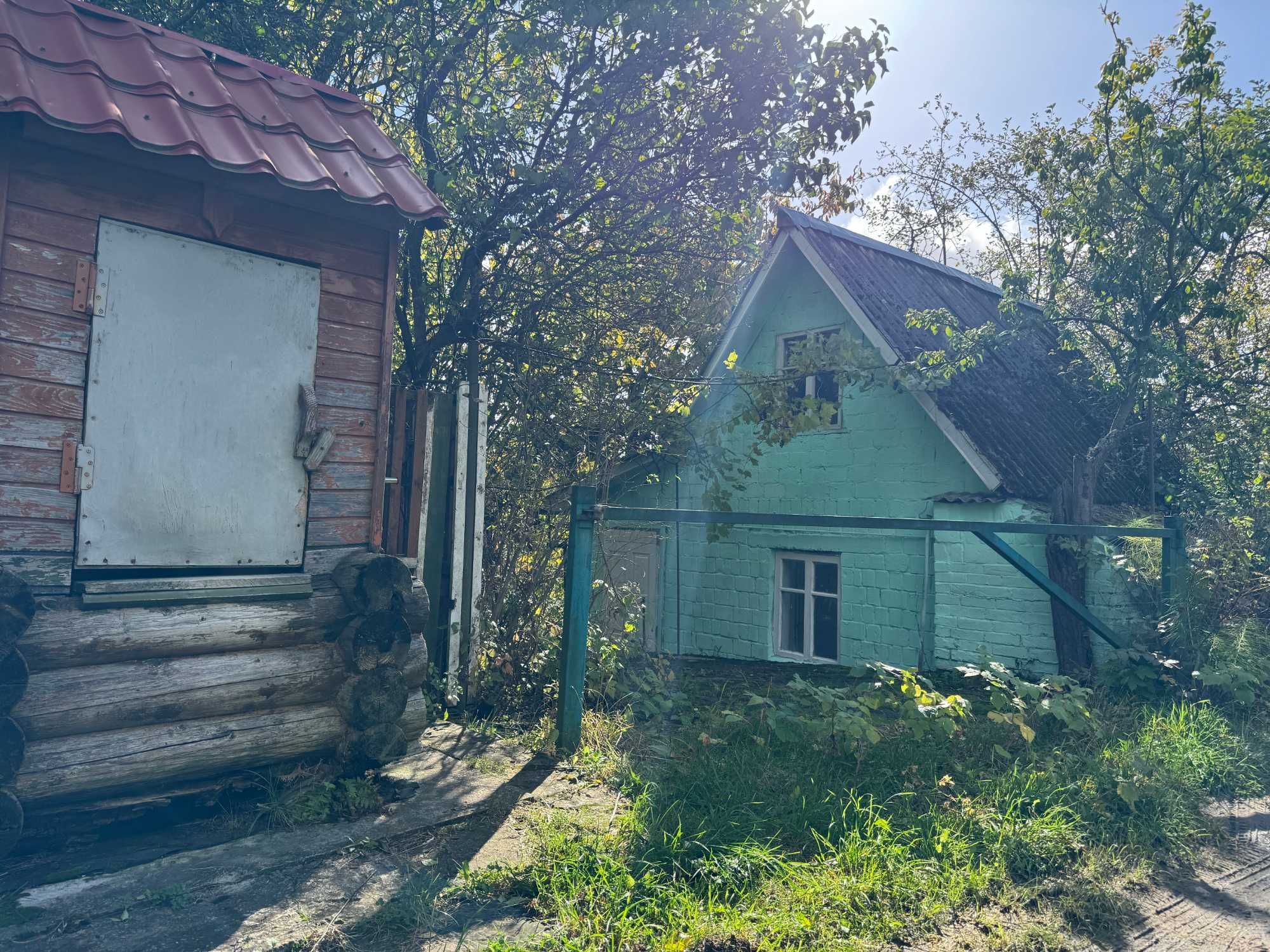 Image 7