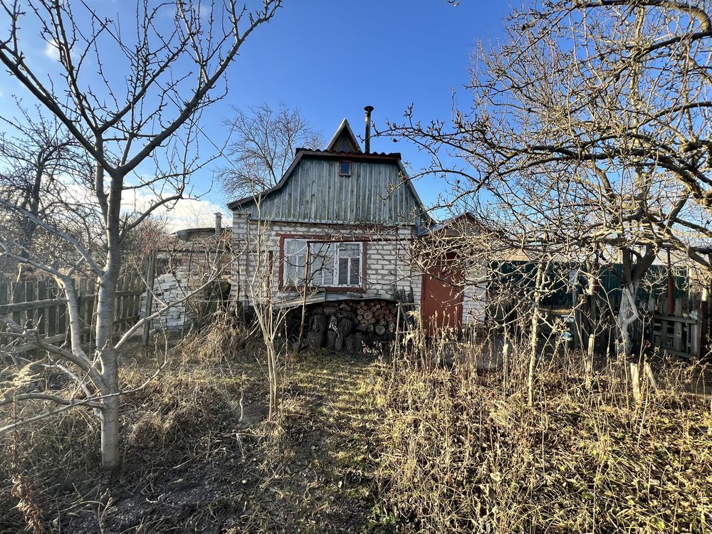 Image 12