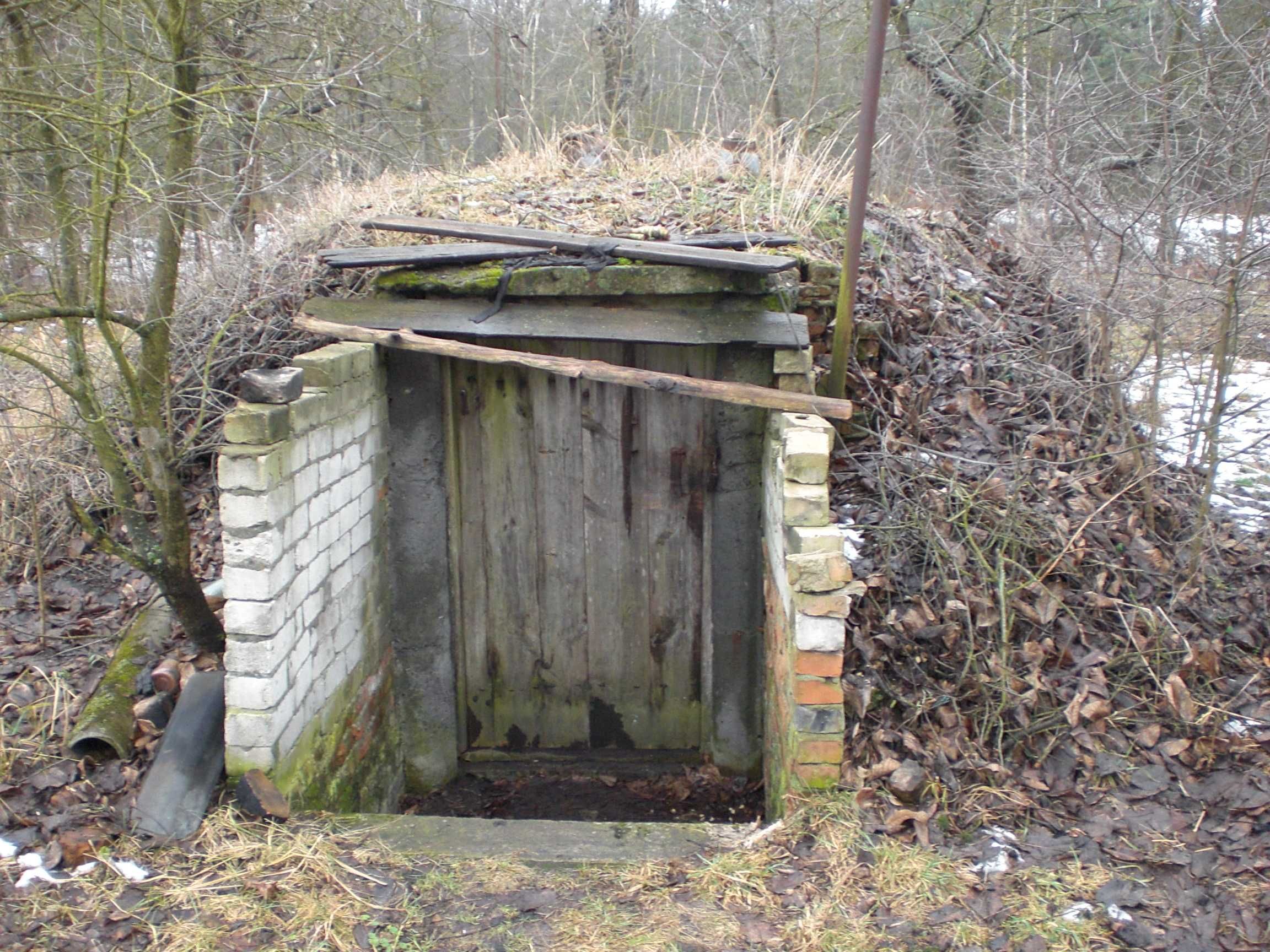 Image 12