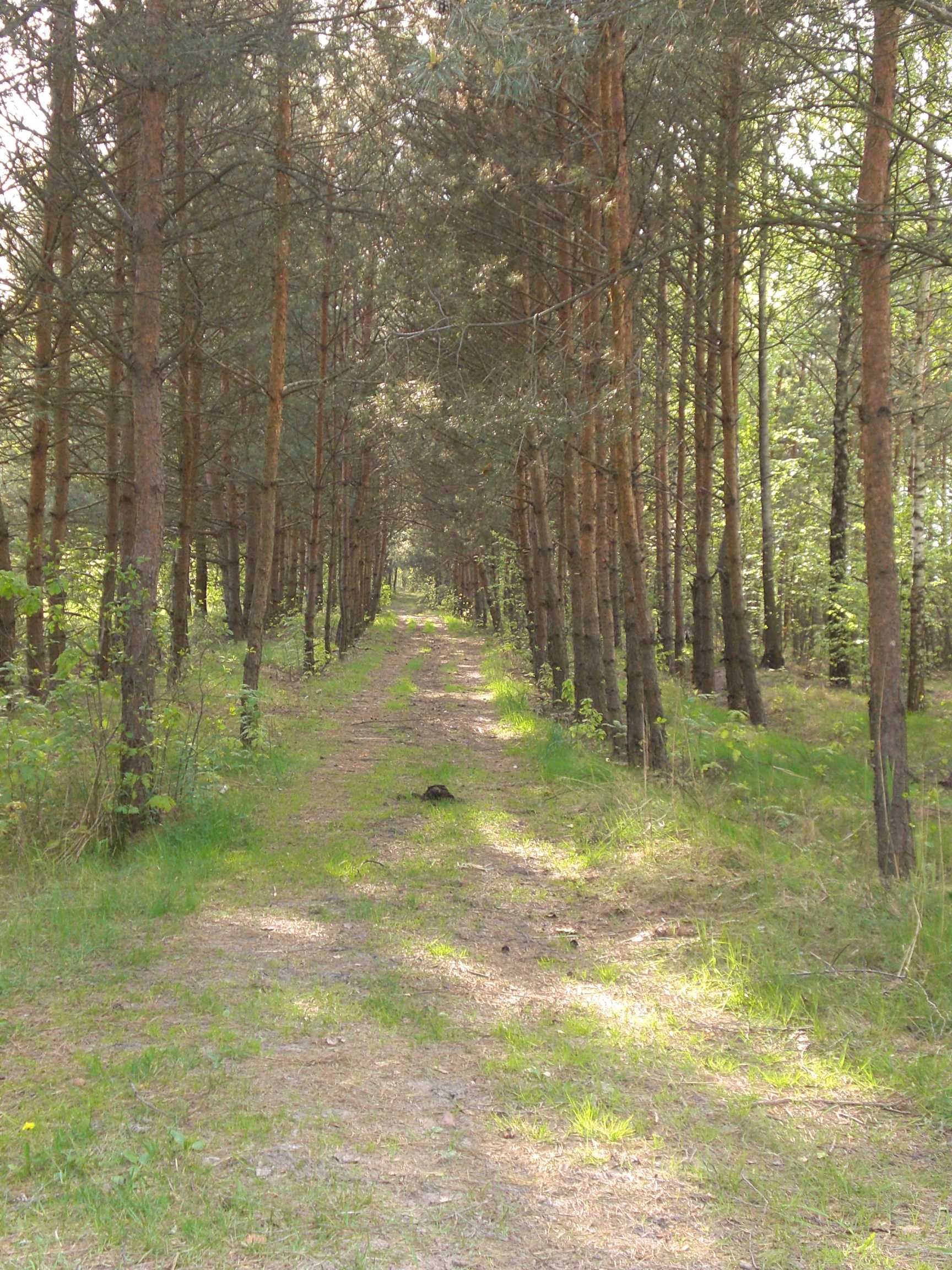 Image 8