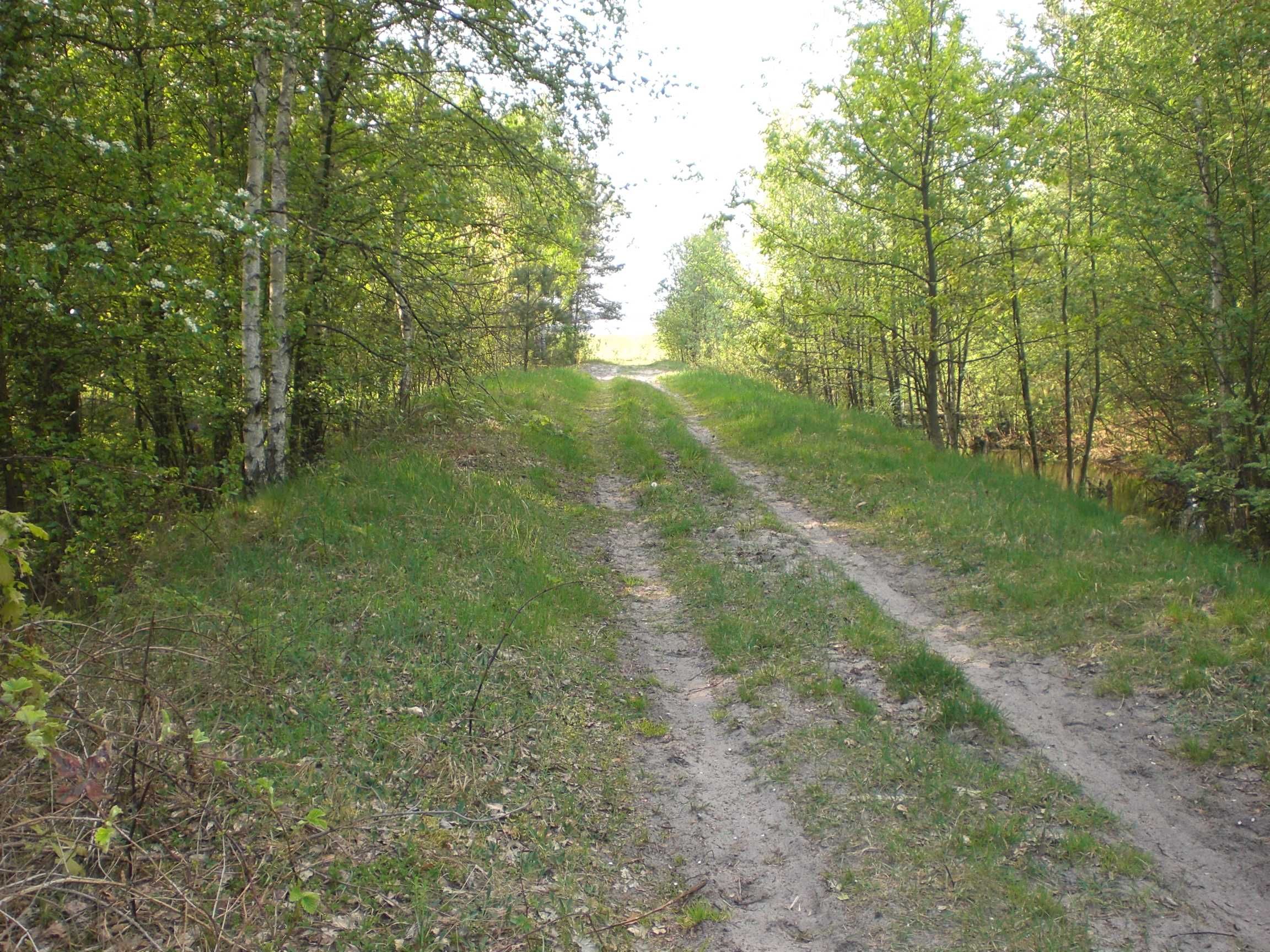 Image 15