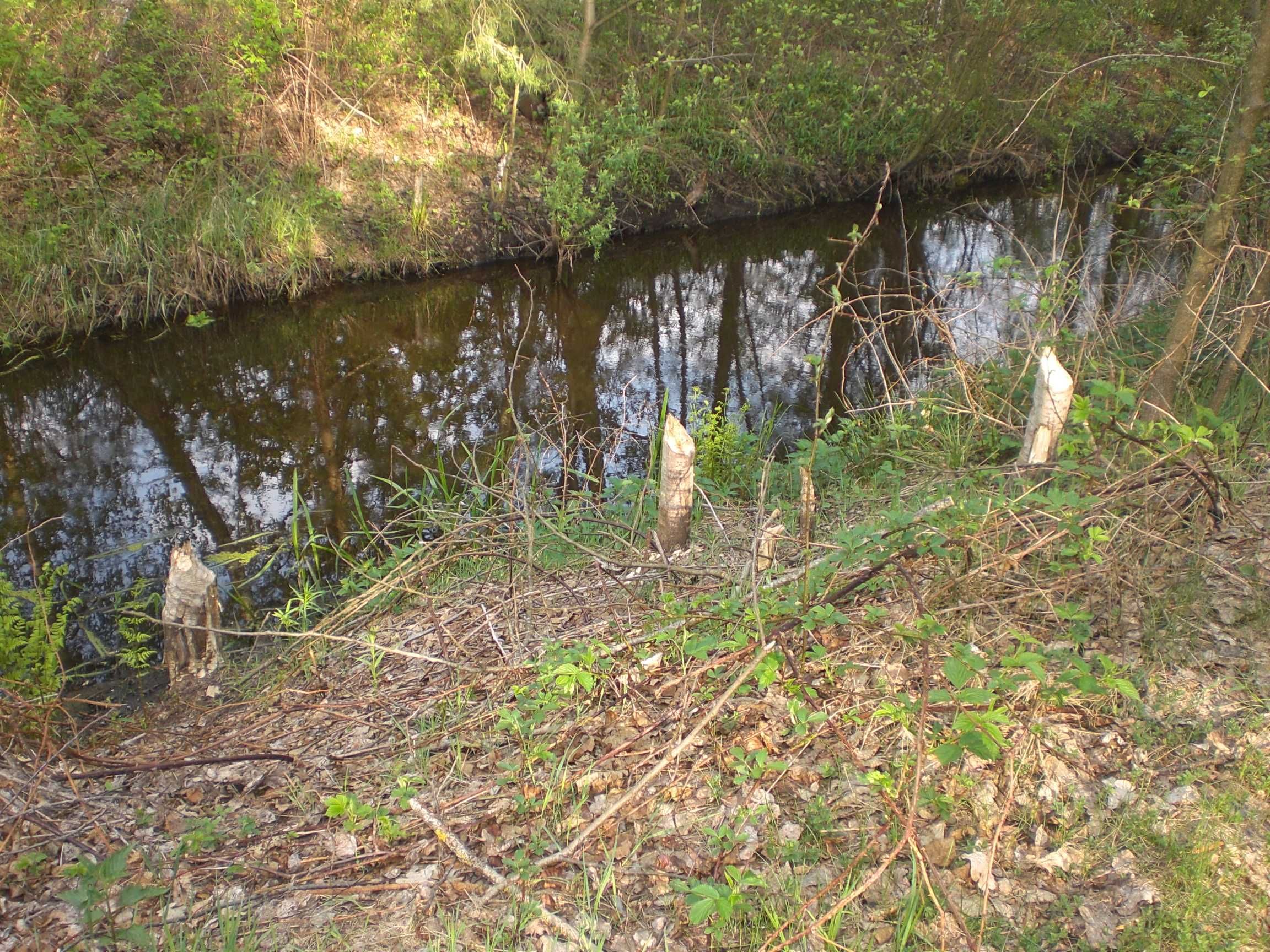 Image 14