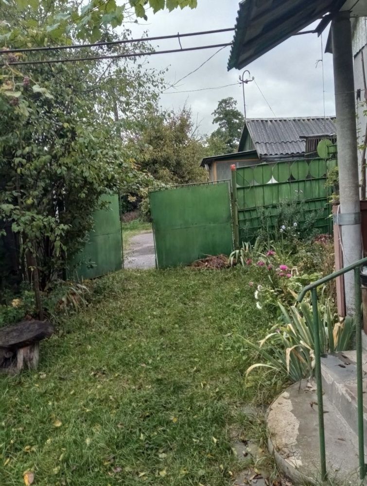 Image 10