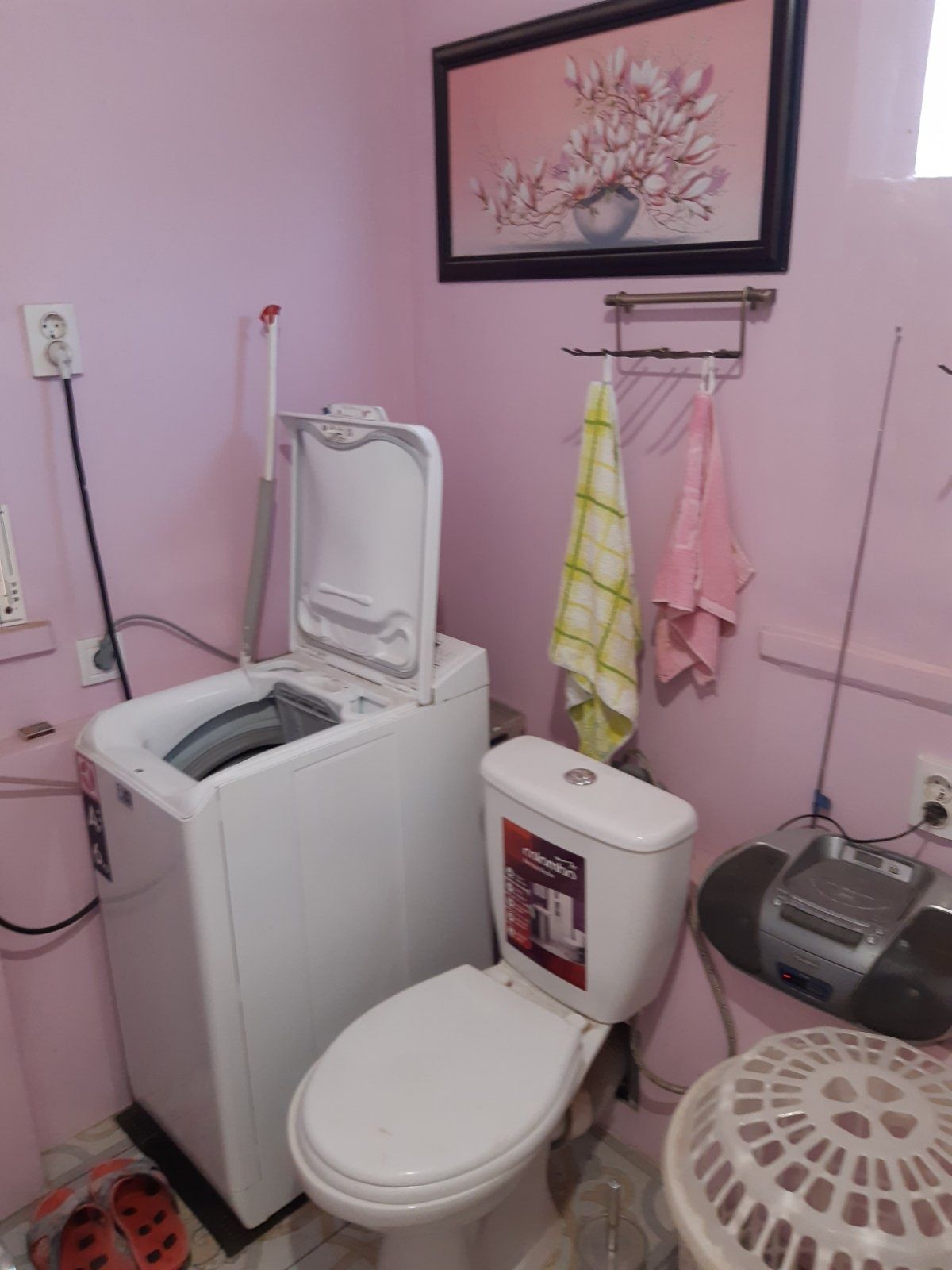 Image 5