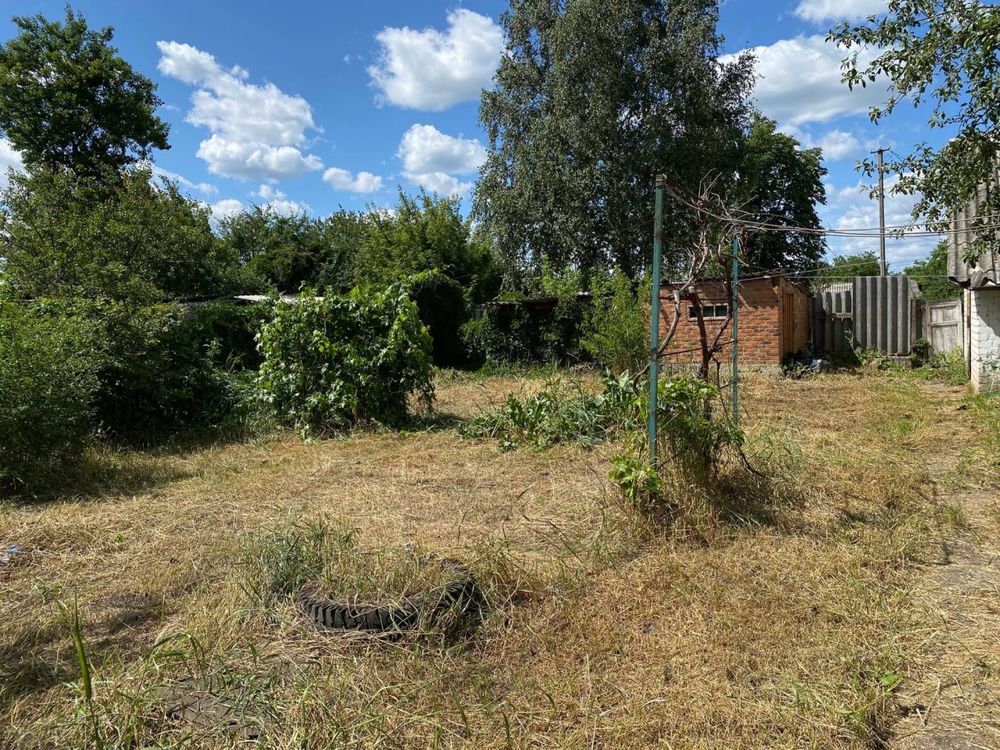 Image 11