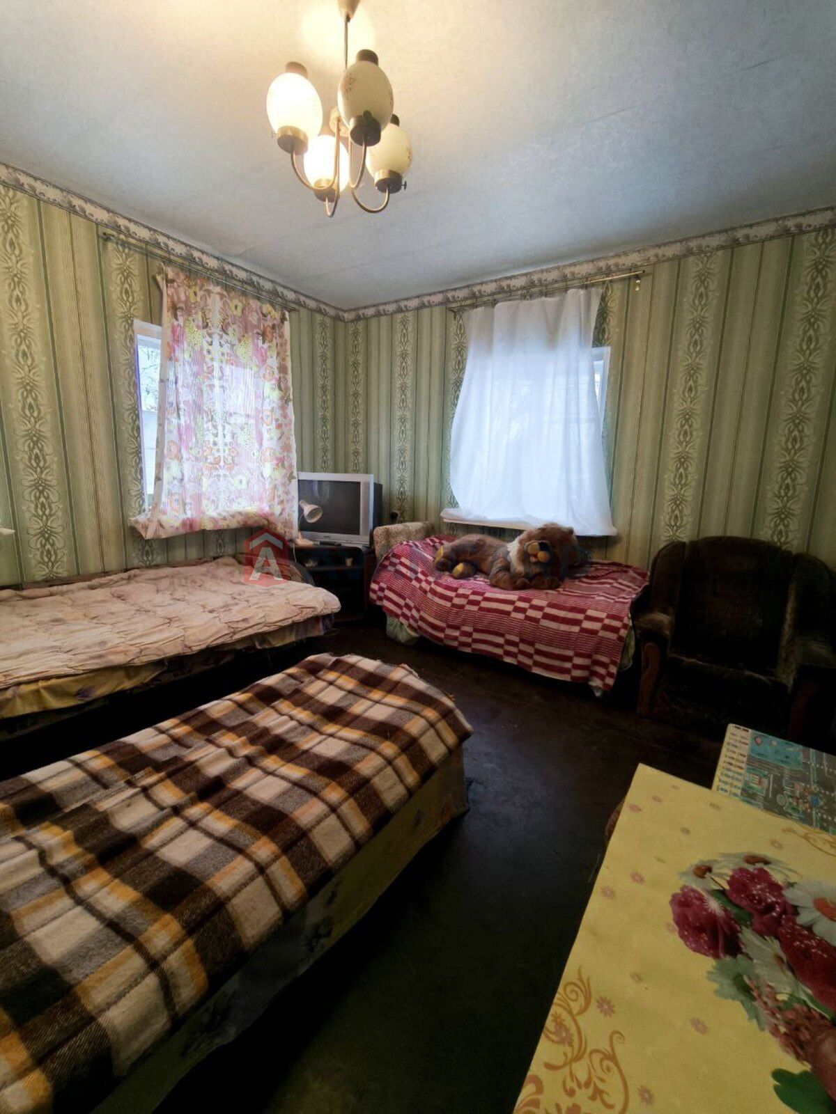Image 11