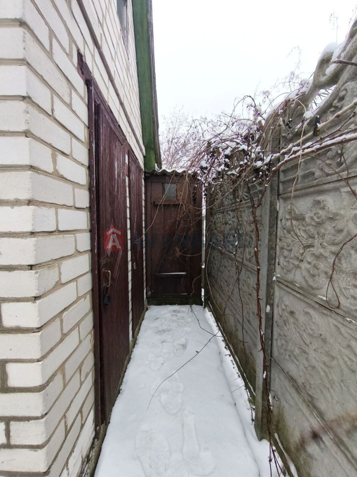 Image 21